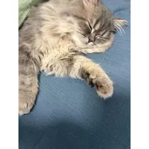 ミヅキ