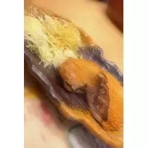 もも