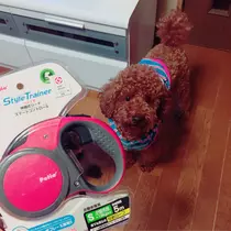 如月 凛