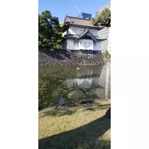 りか