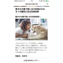 りえ