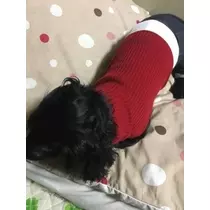りえ