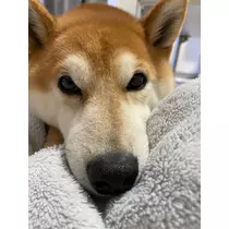 みり