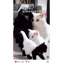 美穂