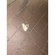 のあ