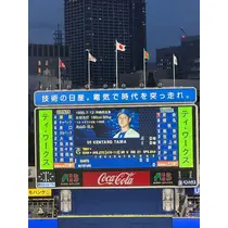 ヒカリ