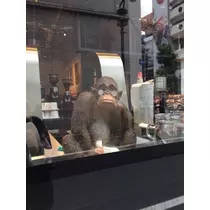 あいり