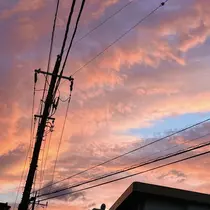 しずか