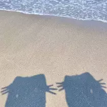 らん