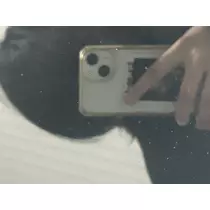 れいん