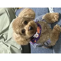 まなか