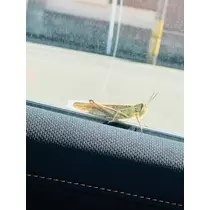 あ
