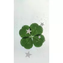 緑 四葉