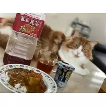 桐島 りゅう
