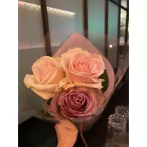 白石 愛莉