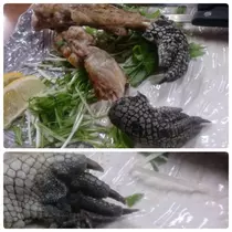 紫音