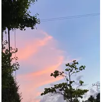 みき
