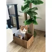 桐島 りゅう
