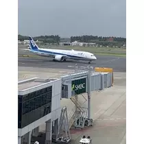 春風 ゆずな