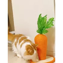 のあ