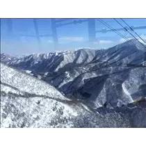 愛羽 仁美