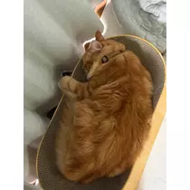 れん