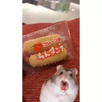 大園 桃子