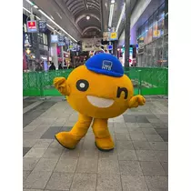 緑 四葉