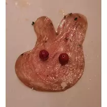 紫音