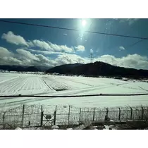 みずき