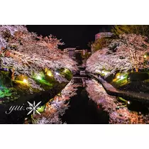 神崎　唯