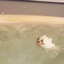 Nao ^._.^