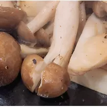紫音