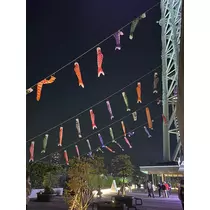 かびるんるんさわ