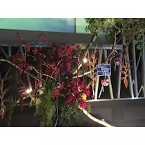 七海 結愛