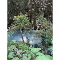 のぞみ