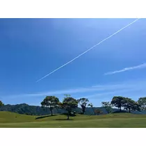 美月