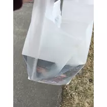 七星 夏純