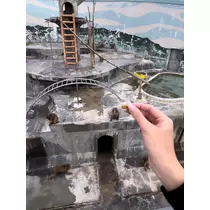 芹沢 莉瀬