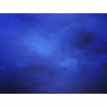 ゆかり