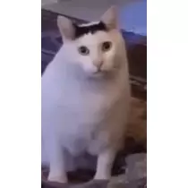 うづき ふうか