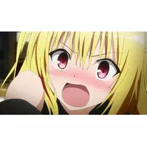ヴィヴィ