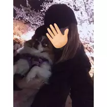 あいら