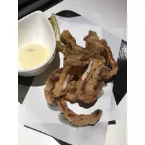 白石 愛莉