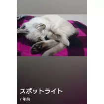 ひな