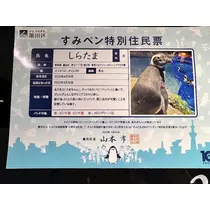 ひなすけ