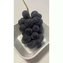 まい