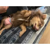 愛羽 仁美