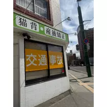 紬 ひかる