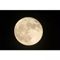 かおり